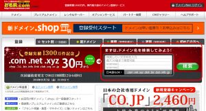お名前.com ドメイン検索